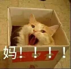 微信表情包保存在哪儿表