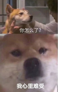 哥哥要红包的表情包我是