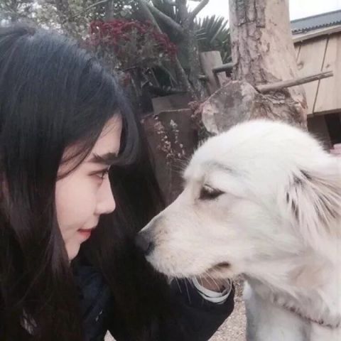  什么都可以扛住就是扛不住对你的喜欢