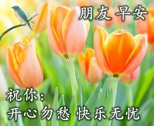  周五早上好表情包,匆匆岁月,真情相伴,愿你笑看人生,一路幸福