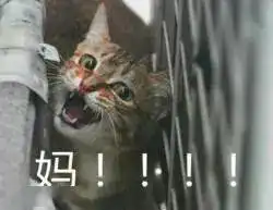  高校不开学的时候,被迫营业的导师都被逼疯了...