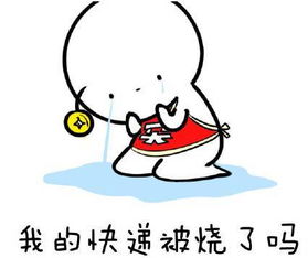  双十一汪星人要自己挣狗粮