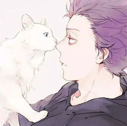  轻抚怀中猫,温柔养猫人动漫手绘养猫男头