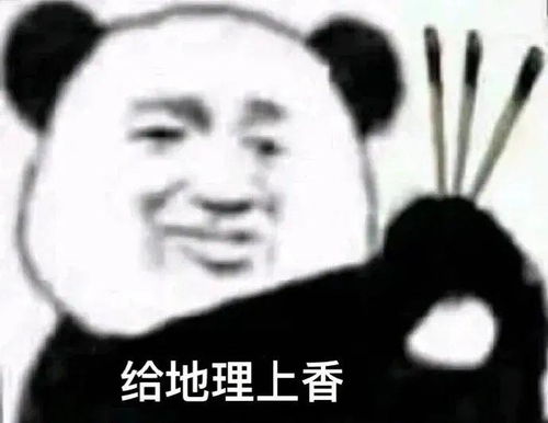  高考表情包考的全会蒙的全对