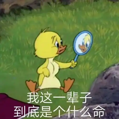  有没有让人笑到直接裂开的沙雕朋友圈文案