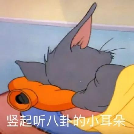  面试前都需要做些什么准备