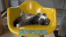  小时候叫过年,现在叫放假浙江不服