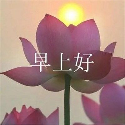 2023好看的微信头像图片