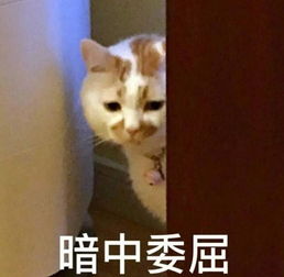  听说看牙能恐惧致死为什么有人会害怕看牙