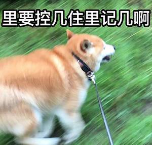  出游荐好车大好春光,你确定不来一场自驾游