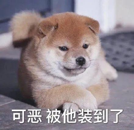 新能源车降价血战,德阳楼盘降价引爆成交量