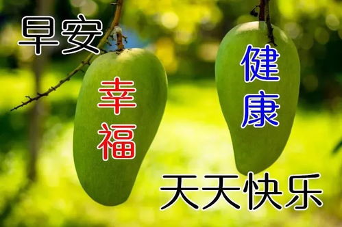  亲爱的朋友很暖心早安图片温馨的早上好祝福语图片带字