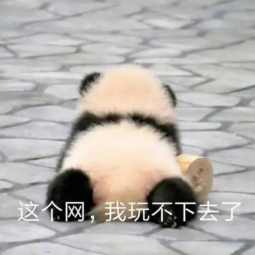 大熊猫搞笑表情包图片