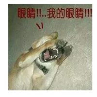  我瞎了听不见搞笑表情微信头像图片大全