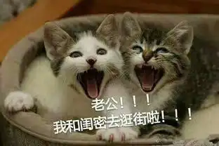  呼唤老公的表情包