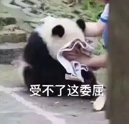 熊猫的表情包请注意你跟老子说话的态度