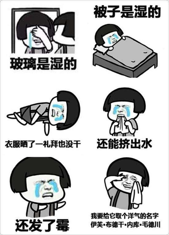  南方的回南天该如何应对拥有这三样神器,干爽度过每一天