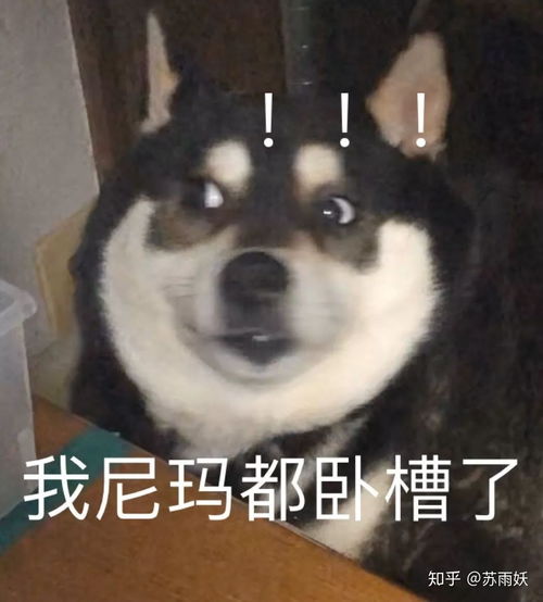  读职中是一种什么样的体验