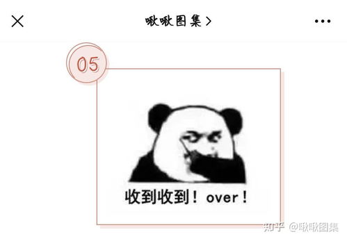 差评回复大全表情包我的