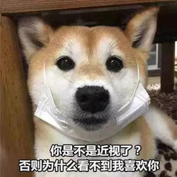  东莞15岁少年近视2400度震惊全国沉迷手机,不戴眼镜后果太严重