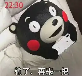  王者玩家的真实状态睡觉前玩把游戏,不赢一把睡不着