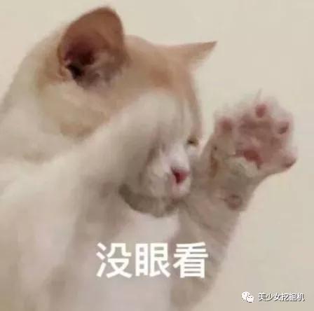 红一个毁一个,还挤破头扎堆进的这个圈子有毒吧