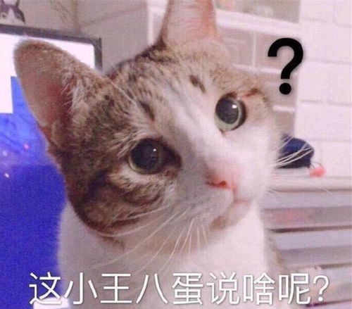  幽默笑话跟女人吵架,不管怎么样,在气势上不能输