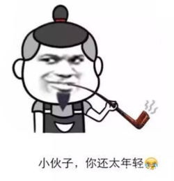 回表情包是不想聊了吗无