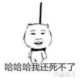  不认识任何视频直播全集不认识任何资料大全yy官方