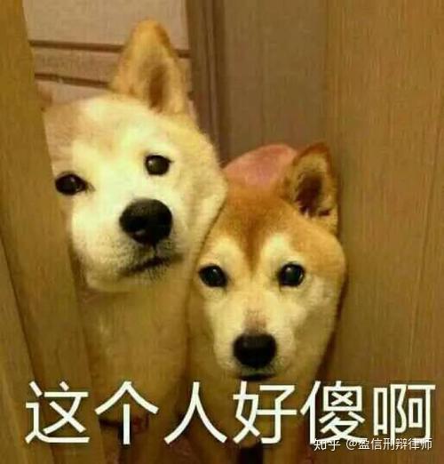  疫情期间拒绝隔离,14天的居家隔离变9个月刑期