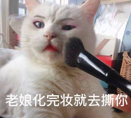  最近斗图没新图了,有好点的表情包推荐吗