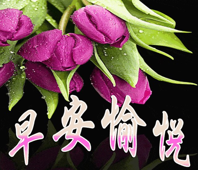  7张最新创意唯美中老年人早上好问候图片免打字聊天中老年人祝福图片带字温馨