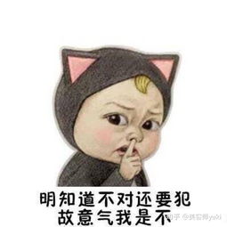  新时代的女性是怎样吵架的