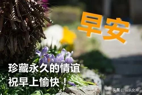  大家早安早晨好表情包早上好图片