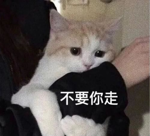  每日一笑不行,我试了下,巧克力根本点不着