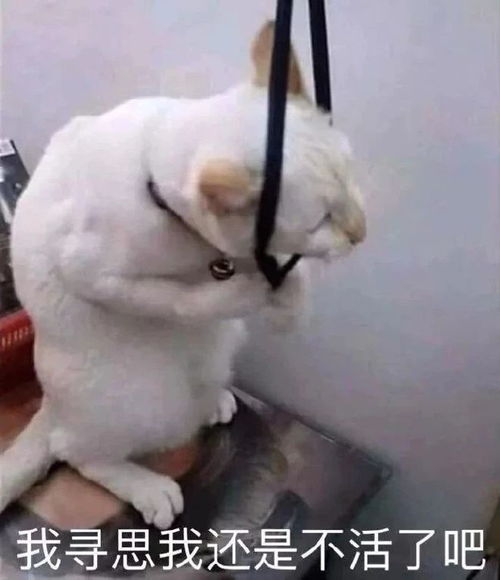 闭嘴的表情包加油