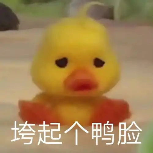  有这种小黄鸭的表情包么,谢谢