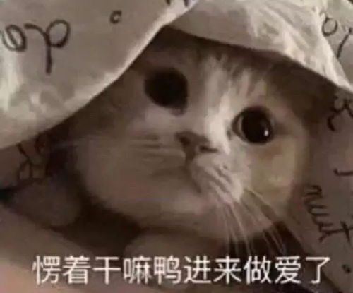  男友出轨怎么办女孩设计抓现行,男友当场吓哭