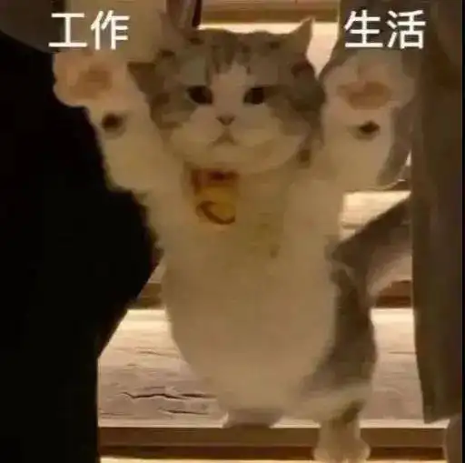 猫子头男孩表情包