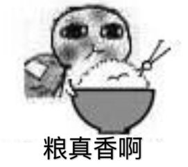  产粮表情包要饭系列