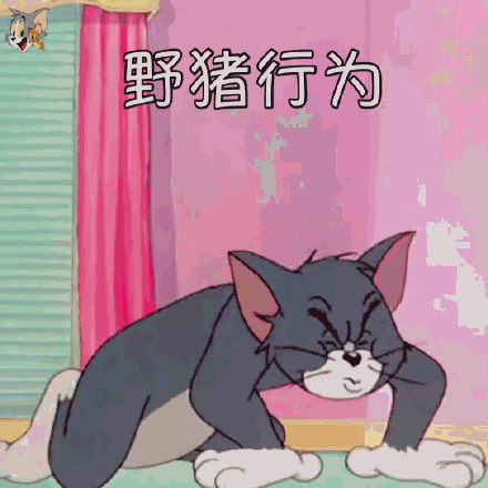  猫和老鼠动图表情包cr宇宙饼饼oba