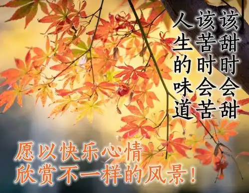  大家早上好的漂亮表情图片,最美早晨好问候语图片