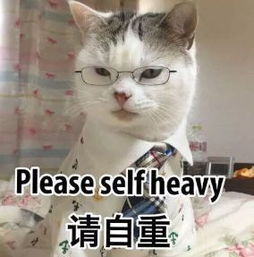  三观碎一地,这片成年人请慎入