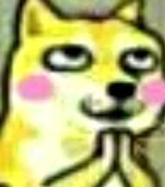 猫猫狗狗表情包光剑