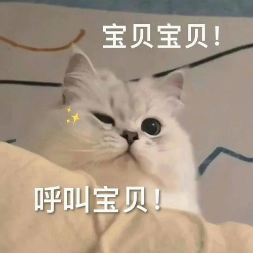  笑话十条一车女的全挑光了,就剩我一人,磕碜谁呢