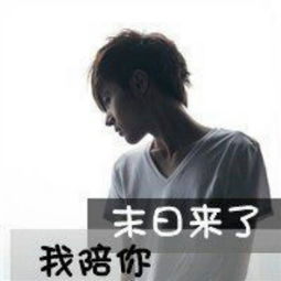  谜辰视频直播全集谜辰资料大全yy官方