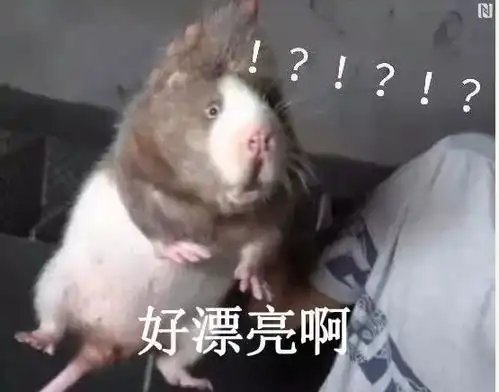  2018年的那些网络热词
