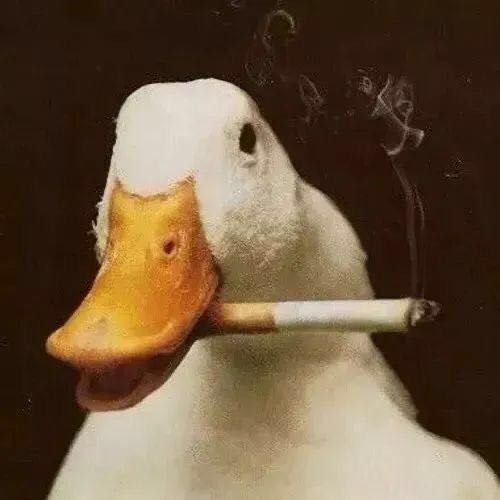  3l的个人空间acfun弹幕视频网认真你就输啦ω