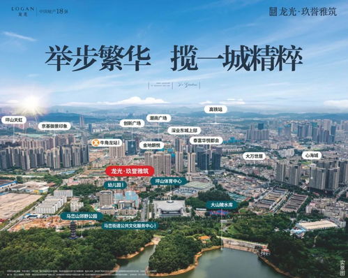  2022坪山楼盘详情龙光地产官方网站千万别错过了