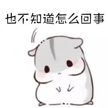  坐公交车包背在前面,拉链也没开,为啥女子的钱包还是被偷了
